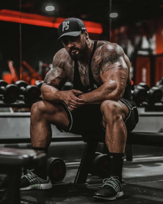 Top Muscle Building Supplements